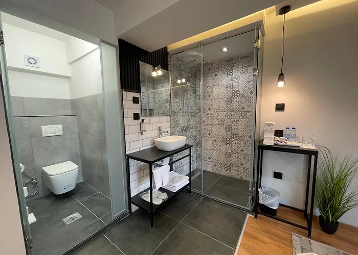 Mickitos Boutique With Balcony 3* Skopje